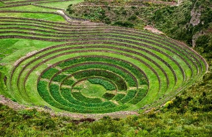 Moray